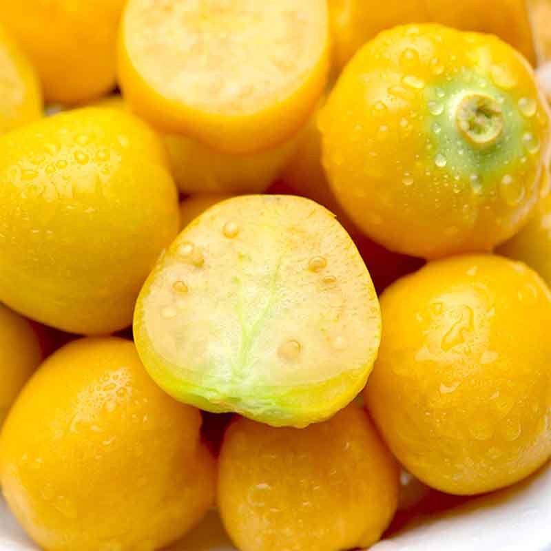 新鲜姑娘果 东北特产 菇娘果 灯笼果 2斤新鲜水果