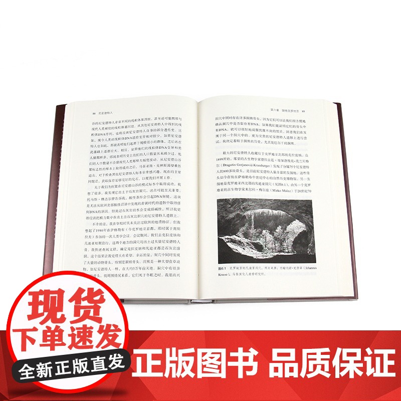 尼安德特人 2022年诺贝尔医学奖得主斯万特·帕博作品 现代分子DNA基因印记重建人类演化遗传史生物科学科普 正版书籍高清大图