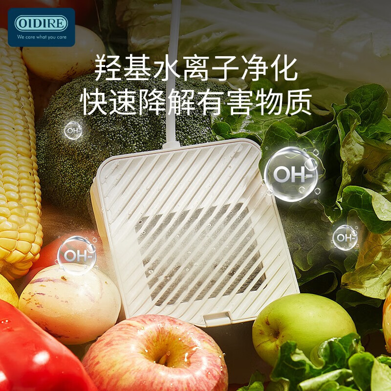 OIDIRE 德国OIDIRE 果蔬清洗机 洗菜机家用双仓有线洗菜机果蔬净化机蔬菜水果鱼肉虾食材净化机器全自动