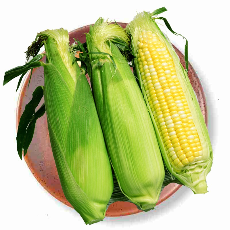 云南新鲜水果玉米甜脆玉米棒可生吃头甜玉米带须皮苞生鲜蔬菜4kg视频