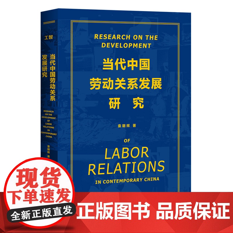 当代中国劳动关系发展研究 袁朝辉 中国工人出版社高清大图