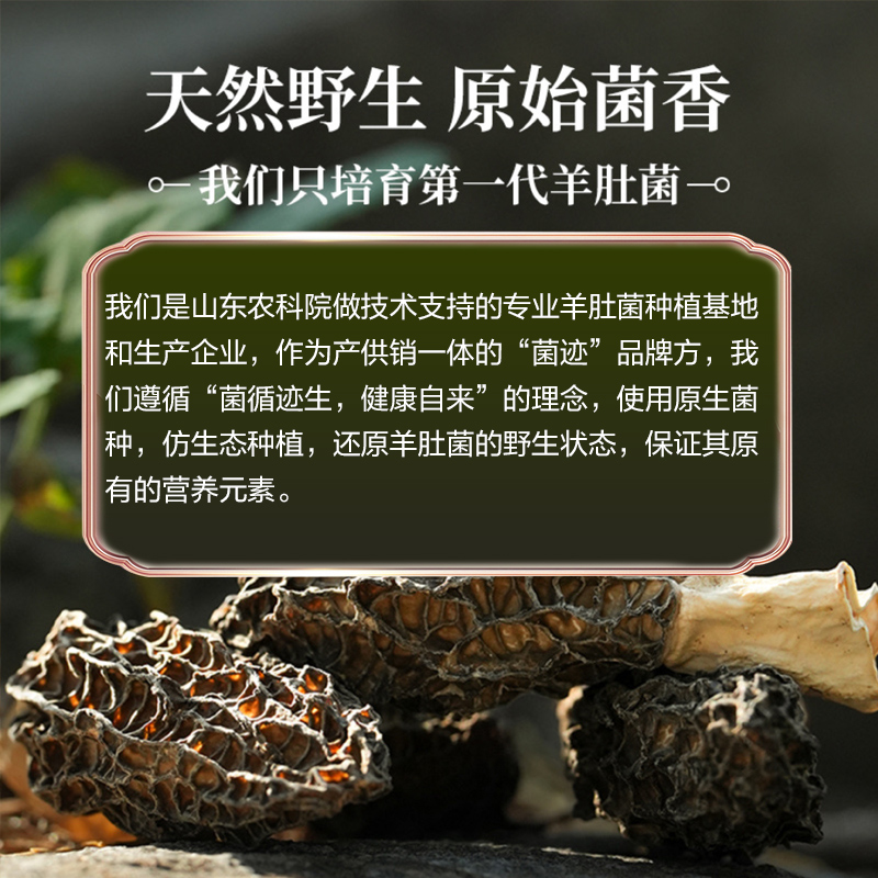 菌迹羊肚菌干品野生级礼品盒天然野生原始菌香纯手工采摘烘干煲汤红烧 40g礼盒装高清大图