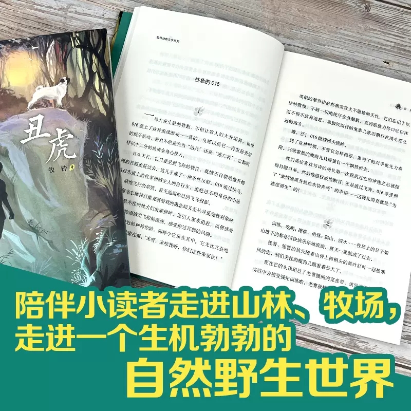 丑虎 [正版]丑虎三年级阅读书目牧铃动物文学系列儿童文学动物小说冒险成长励志读物三四五六年级小学生课外阅读青少年版山东课高清大图