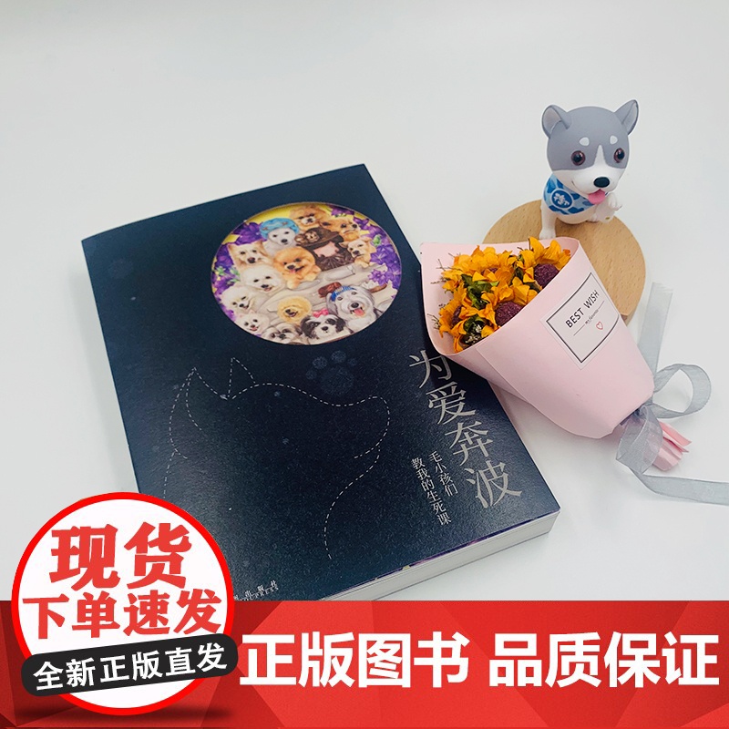 [ 正版书籍]为爱奔波:毛小孩们教我的生死课高清大图