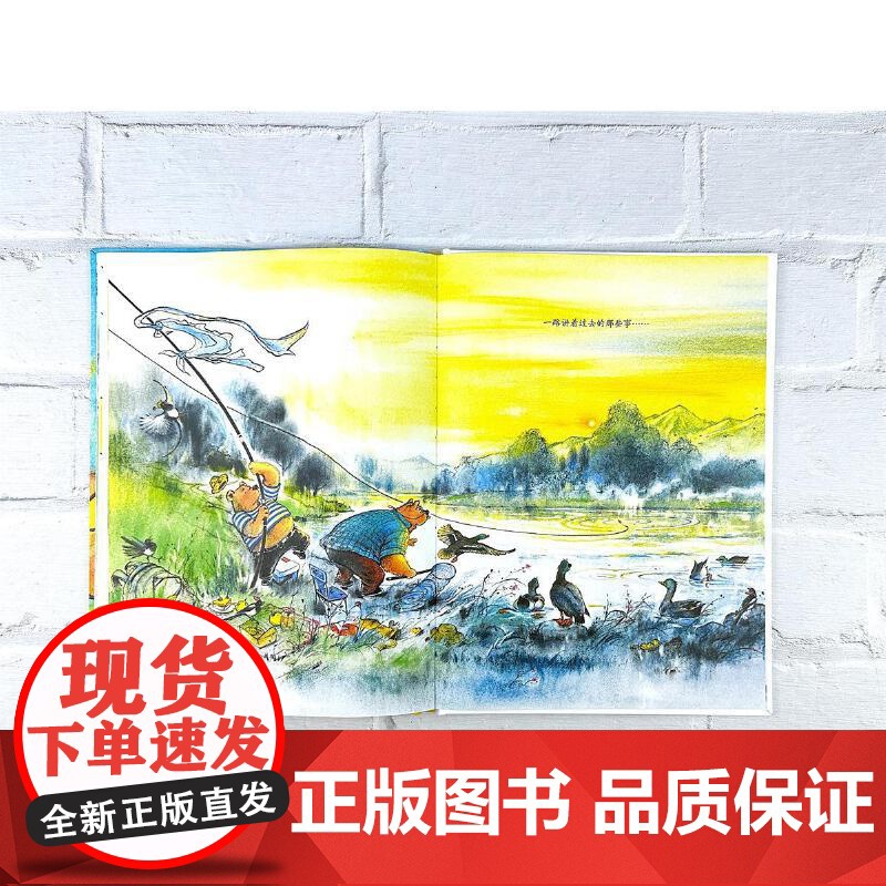 大熊的盒子高清大图