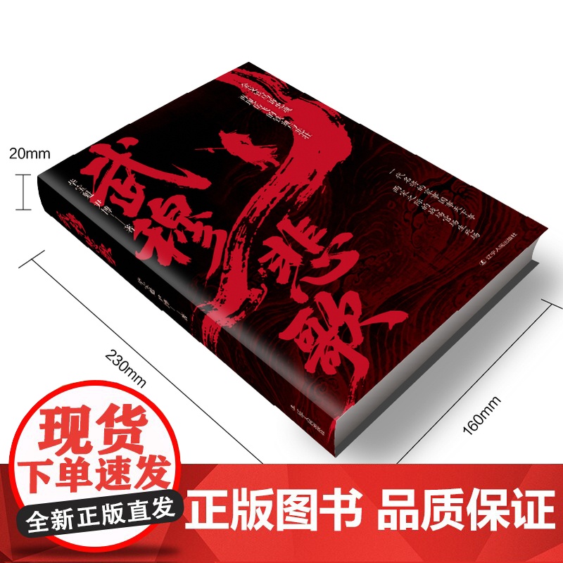 武穆悲歌 一代名将岳飞的家事国事天下事 两宋之际的战场官场生死场 南宋风云 官场博弈 军事智慧 人生抉择 家风传高清大图