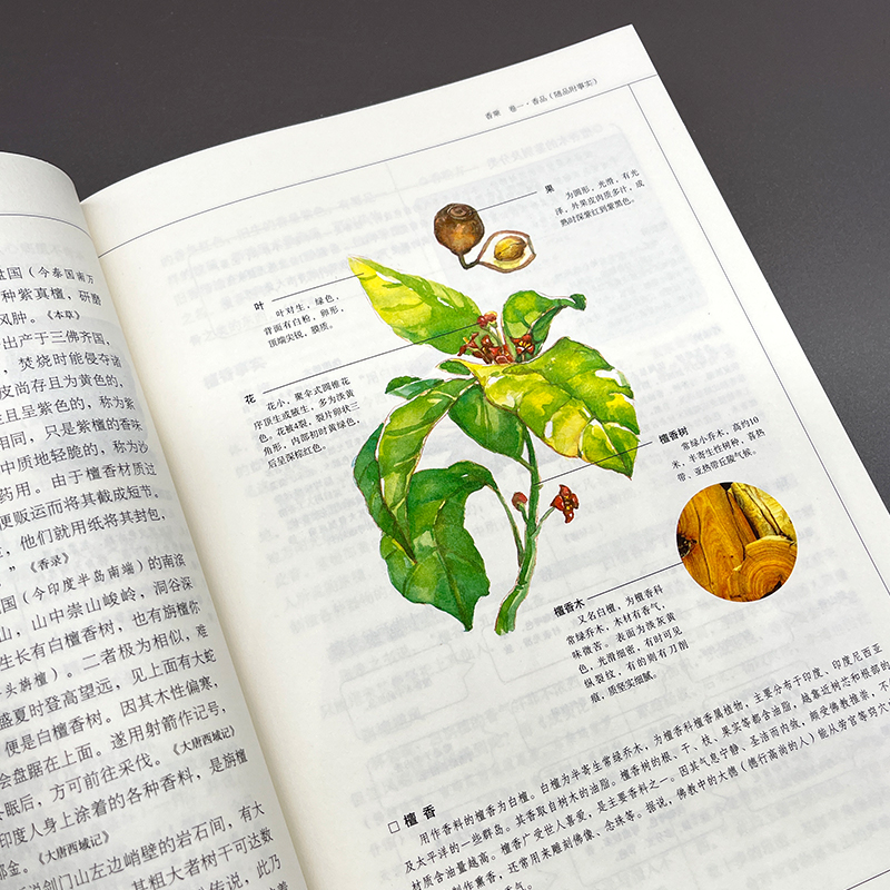 [正版]香典 中国古代天然香料与香文化通鉴 香文化佛文化 中国古籍古典文化 品香器香方香事香薰古代香料制香调香指南书 书高清大图