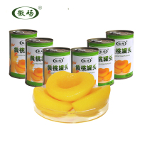 徽砀黄桃罐头425克罐装 安徽砀山特产 源自大自然的馈赠！新老包装随机发货