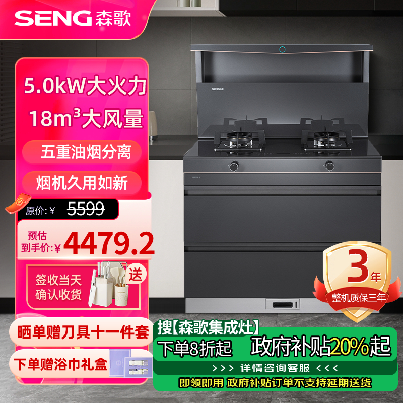 森歌(SENG)集成灶L1 消毒柜款 二星级消毒外观美 大容量 一体式吸烟机燃气灶具 抽油烟机燃气灶 灰色天然气