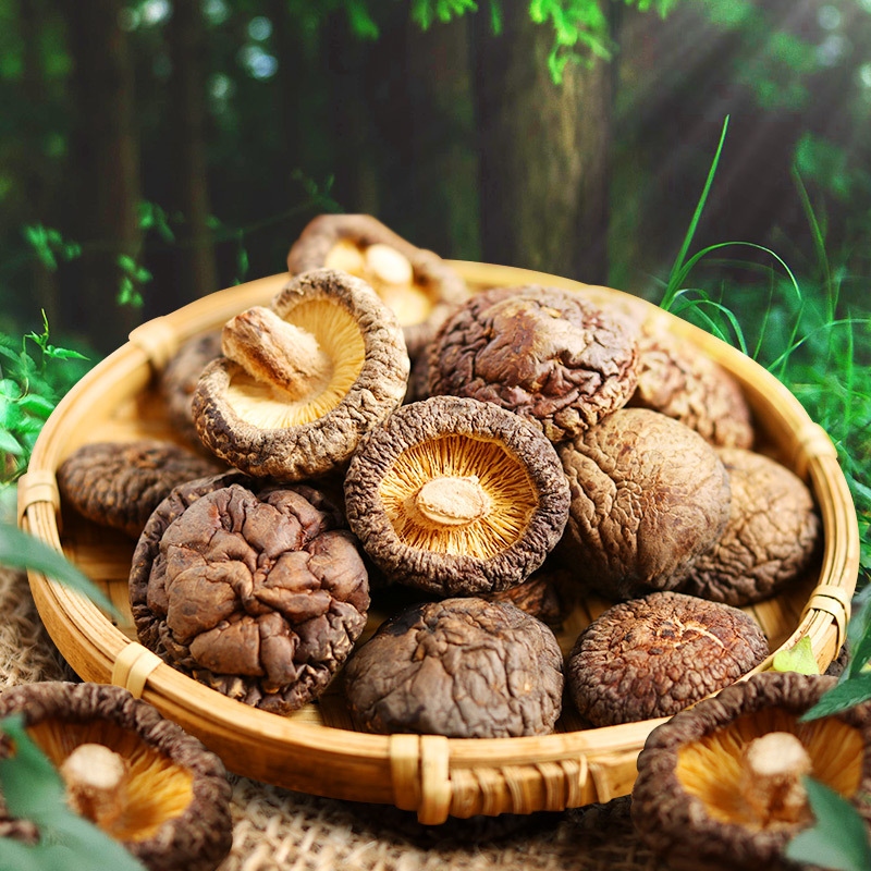 【抚松扶贫馆】林荫山下 香菇 长白山精选香菇 500g
