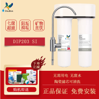 道尔顿(Doulton) 净水器家用直饮高端阻垢厨房净水机DIP203 SI滤水器
