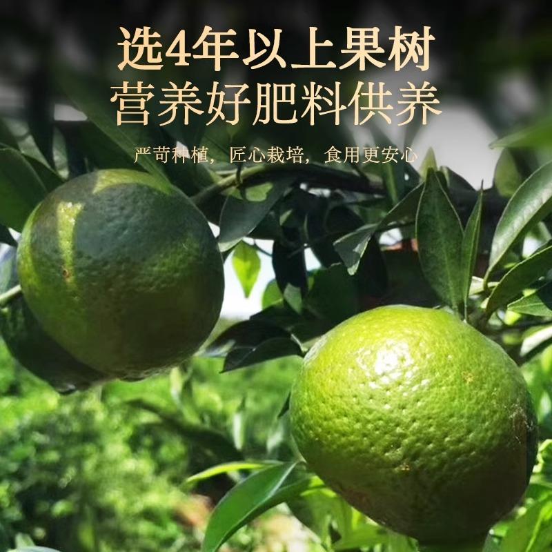 8年新会老陈皮45g陈皮干陈皮泡茶煲汤料干货广东新会特产道地橘子皮养生茶冲泡官方旗舰店高清大图