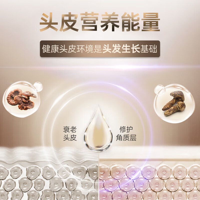 吕(RYO) 洗发水 黑吕臻参焕活御时昇机洗发水 400ml