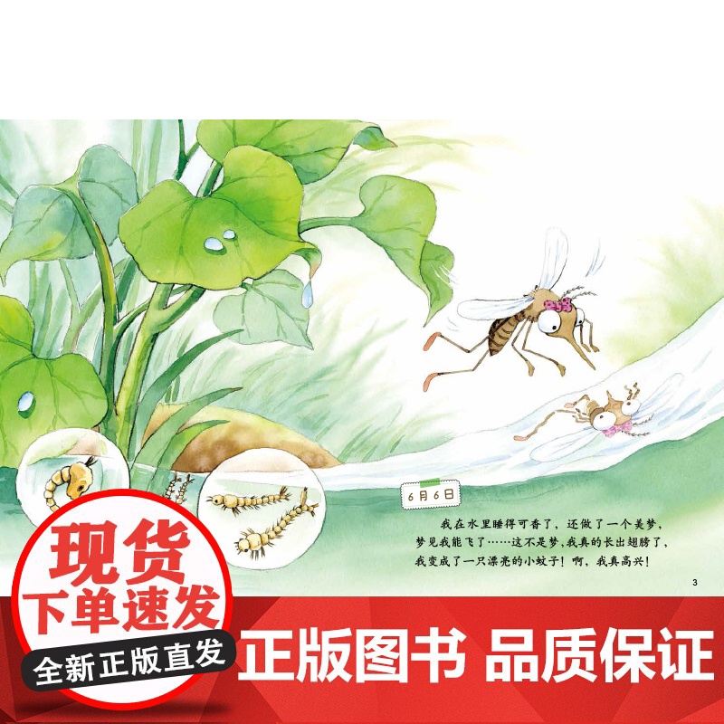 我的日记系列蚊子的日记精装绘本讲述蚊子世界里的欢乐与挑战在欢笑中学习科普知识高清大图