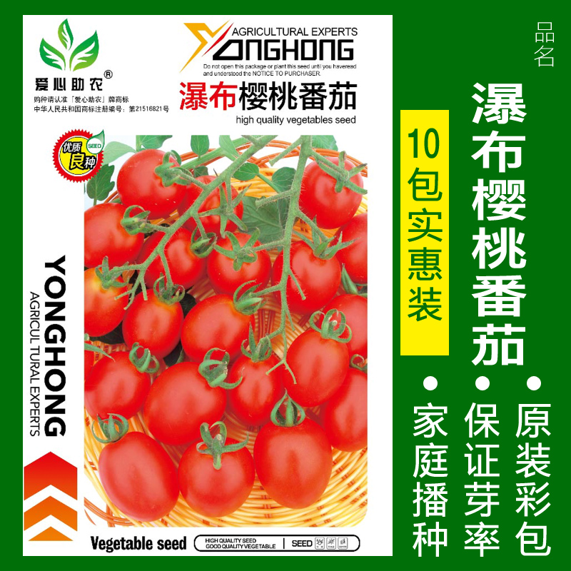 瀑布小番茄种子千禧樱桃西红柿圣女果种籽苗四季播黄蔬菜种孑种植 均码 瀑布樱桃番茄10包实惠装