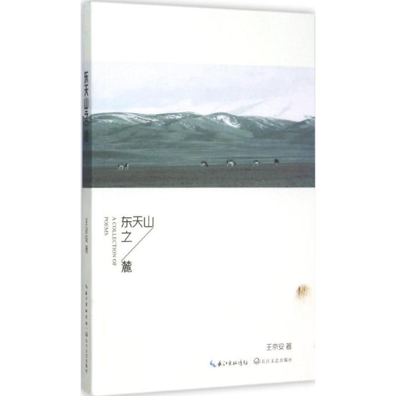 正版新书】东天山之麓王京安9787535482808