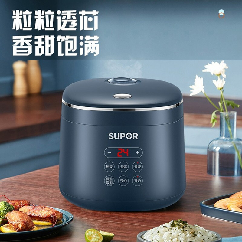 苏泊尔(SUPOR)2L电饭煲小型迷你小容量电饭锅不粘煮饭锅小功率1-2-3人单人宿舍多功能智能预约 SF20FC45