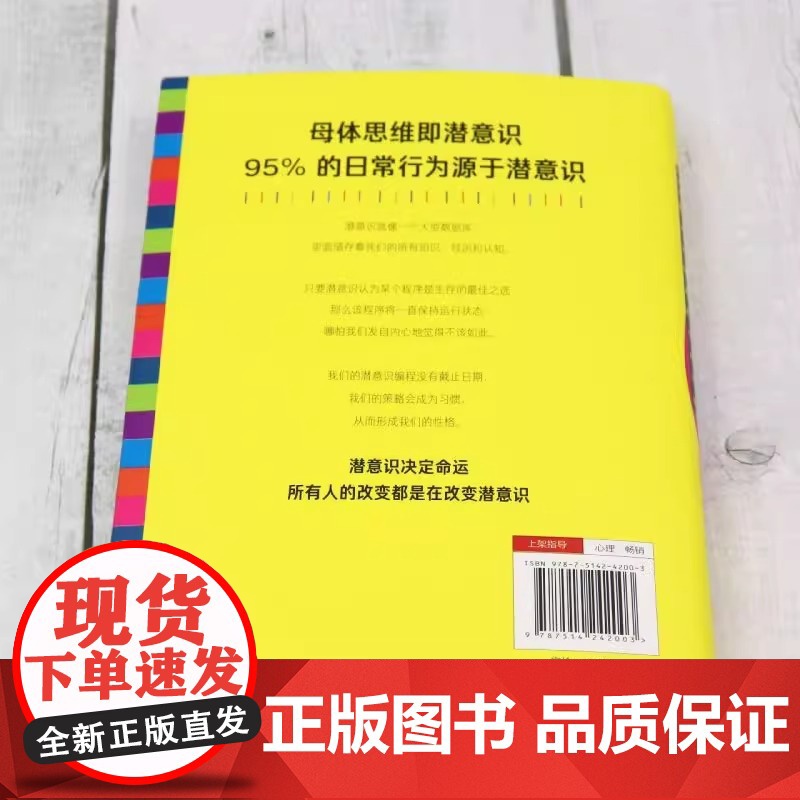 所谓命运 其实就是潜意识 99%的人不知道的母体思维 瑞典卡琳 泰恩 著 母体思维即潜意识 心理学 文化发展出版社正版书高清大图