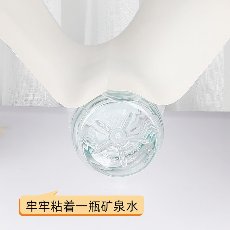 天臣玖号 苍蝇神器灭蝇器粘蝇纸灭苍蝇除蝇强力灭蝇纸粘蝇板 10片/包
