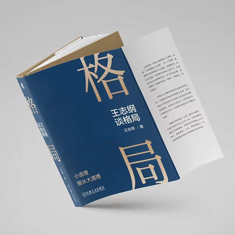 [正版]格局 王志纲谈格局 机械工业出版社 王志纲 著高清大图