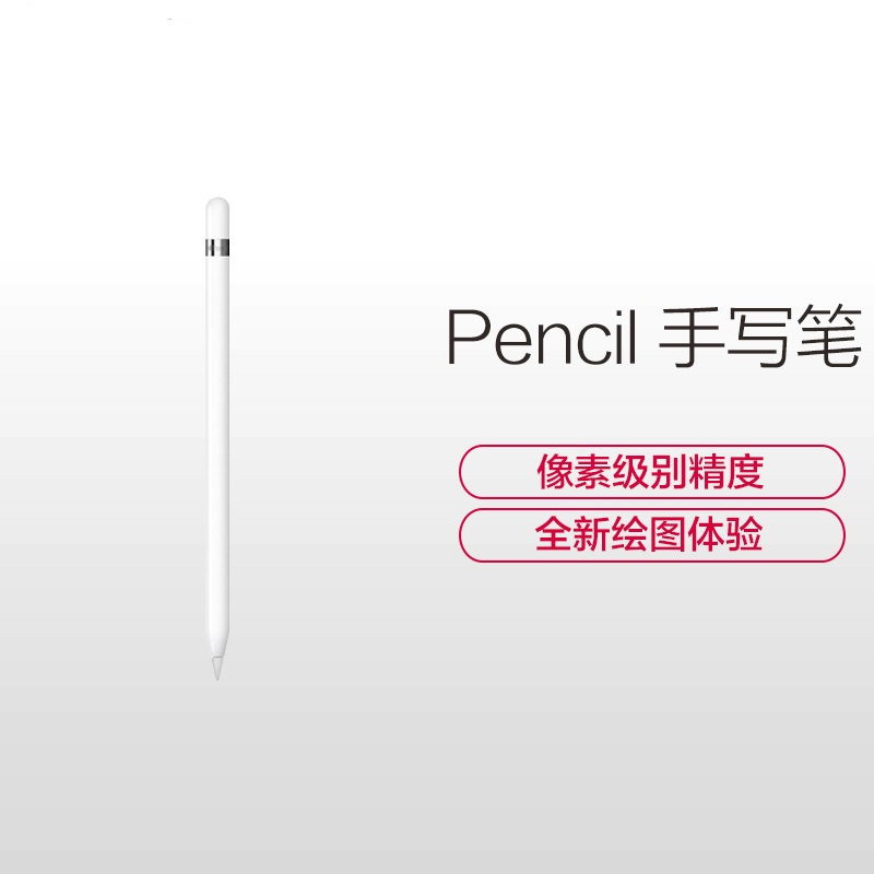 Apple pencil 手写笔 MK0C2CH/A 定制版
