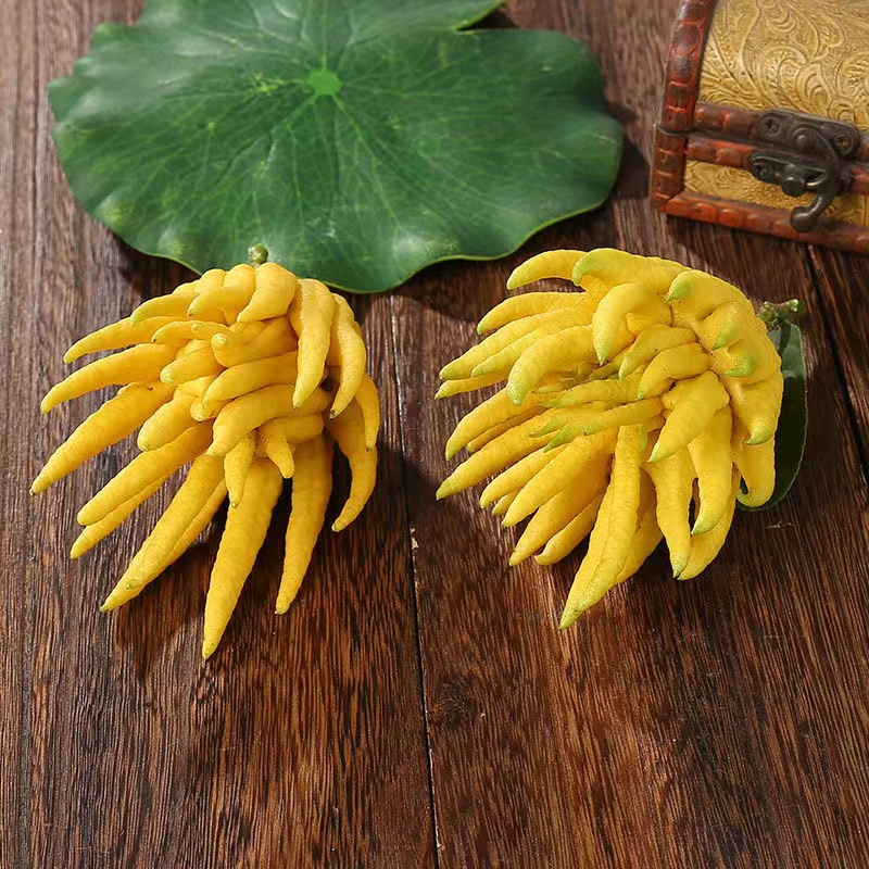 5斤(1个果)金佛手果现摘金华金佛手鲜果香橼供观赏把玩除味食用佛手水