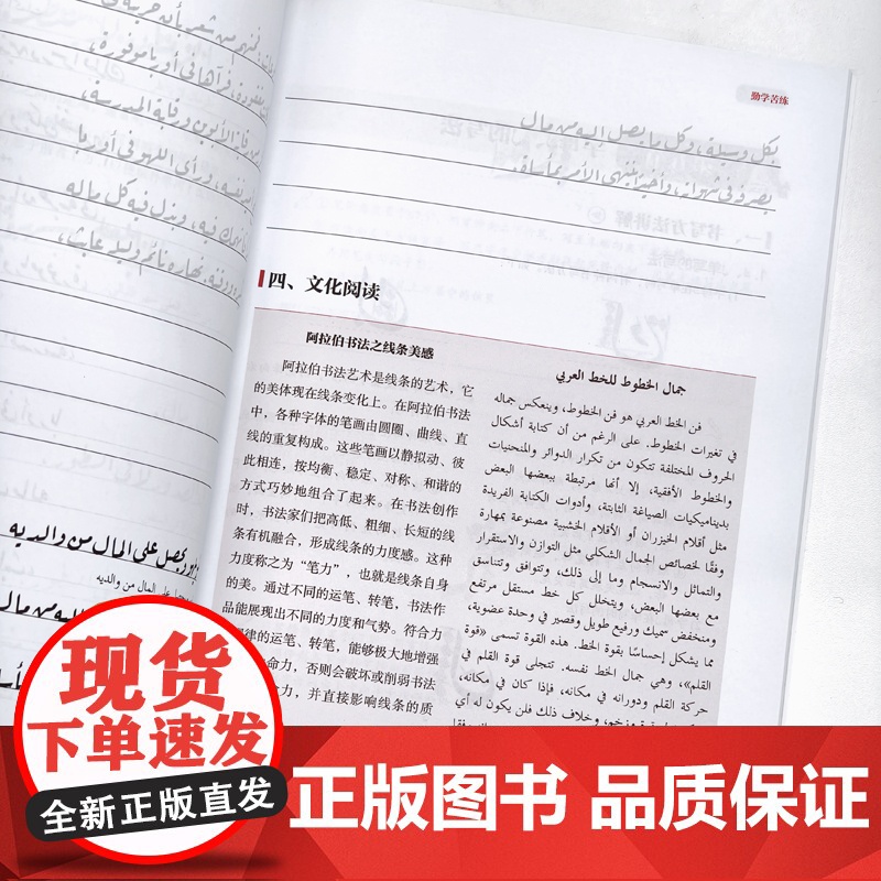 实用阿拉伯文书写教程(鲁格阿体) 配教学指导视频高清大图