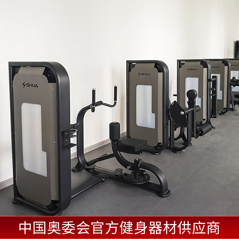 舒华健身房商用款多功能综合力量腿部训练器蝴蝶肌肉专业设备全套 SH-G6818(躯干式转动训练器)高清大图