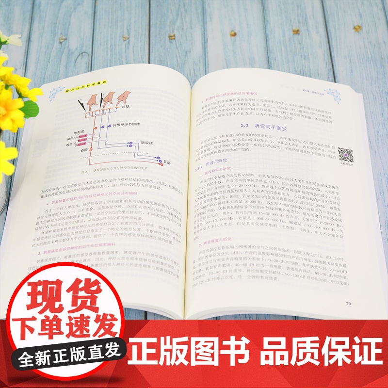 清华正版 脑与认知科学基础 刘洪波 清华大学出版社 脑科学认知科学人工智能与技术生物工程高清大图
