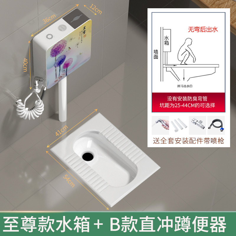 家用陶瓷蹲便器 B款无S弯后排水+至尊款水箱