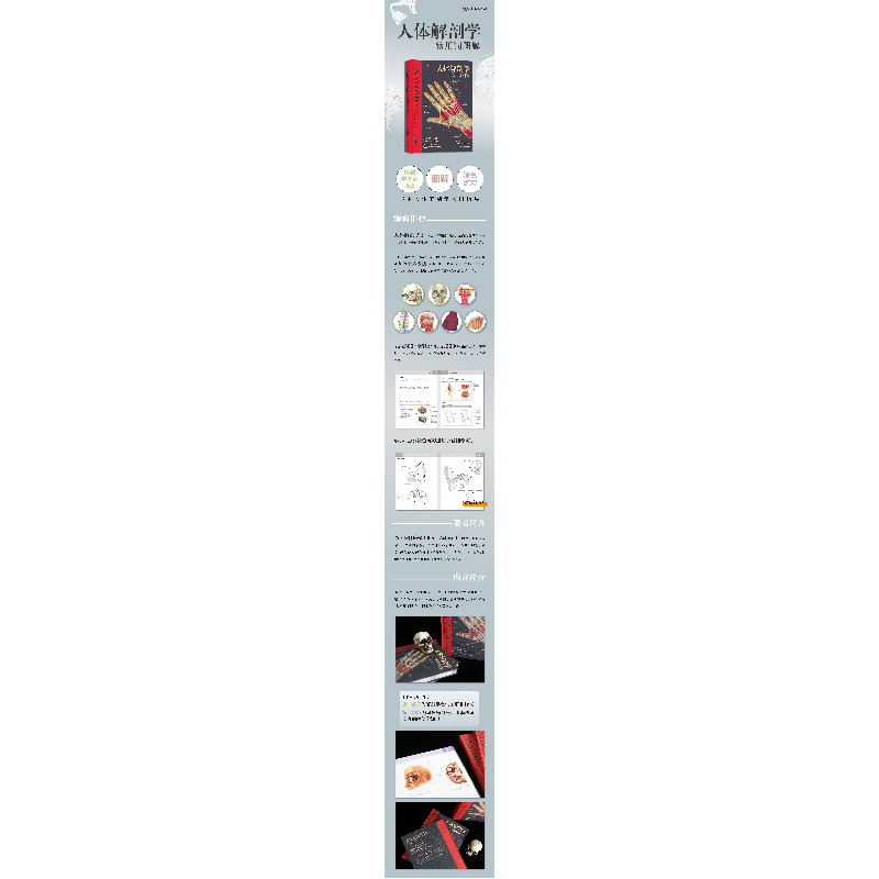 正版新书]人体解剖学常用词图解(澳)肯·阿什威尔著;田锦勇主高清大图