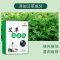 百消丹药业美之贻艾草颈椎贴12贴/盒