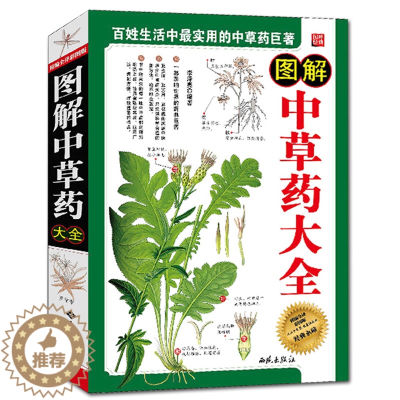 [醉染正版]图解中草药大全 中医养生书籍彩图版图文结合 中药大典 中草药书医学医药书籍 家庭养生保健常备中草药常识 中草