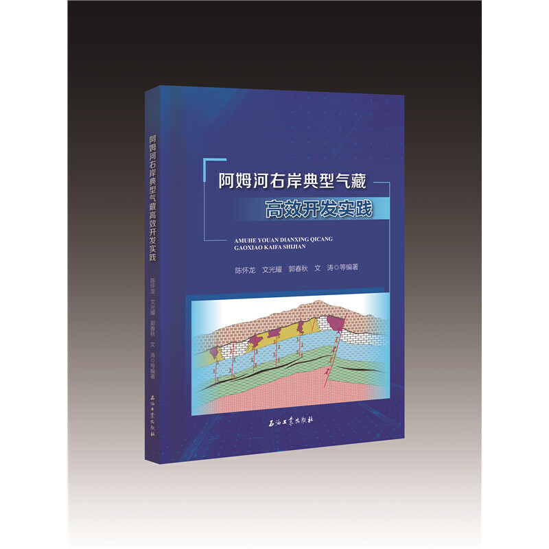 醉染图书阿姆河右岸典型气藏高效开发实践9787518349111
