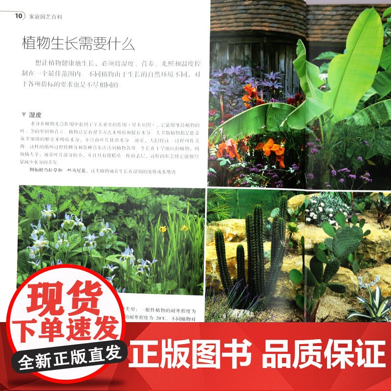 书精装]DK家庭园艺百科 家居植物实用百科日常养护植物陈设软技巧书正版书籍高清大图