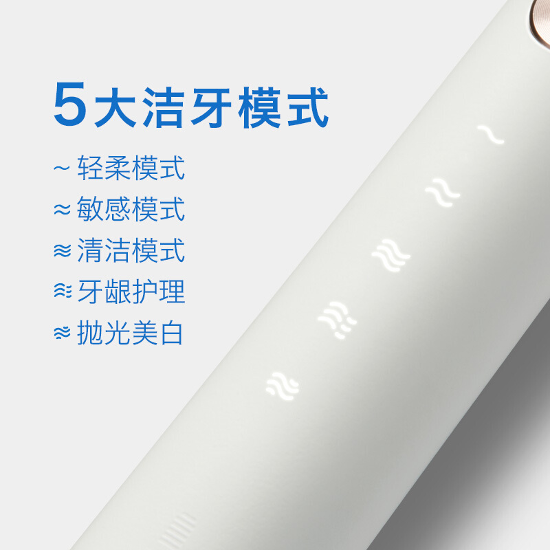 ApiYoo 荷兰艾优电动牙刷成人 P7充电式声波震动牙刷情侣款男女通用(自带2支刷头 磨砂白)