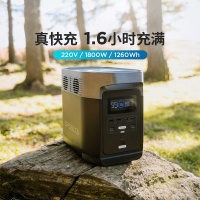 EcoFlow户外移动电源220v车载便携大容量蓄 电池1800w大功率备用 DELTA-1300