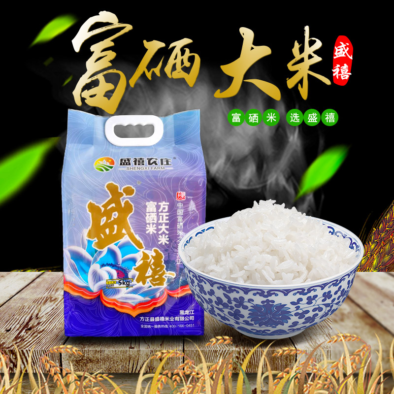 盛禧东北大米特产正宗方正富硒大米10斤真空包装2021年新米一级长粒