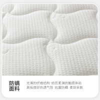 尔迈 3D椰棕20CM床垫 邦尼尔弹簧床垫 席梦思床垫 极光白1800*2200白