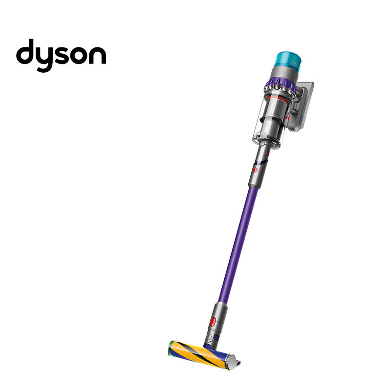 戴森(DYSON)手持无线吸尘器 除螨 宠物 家庭适用 G5 Detect Absolute