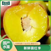 [苏鲜生]四川茵红李 5斤装 中果 新鲜水果当季酸脆三华珍珠李孕妇整箱