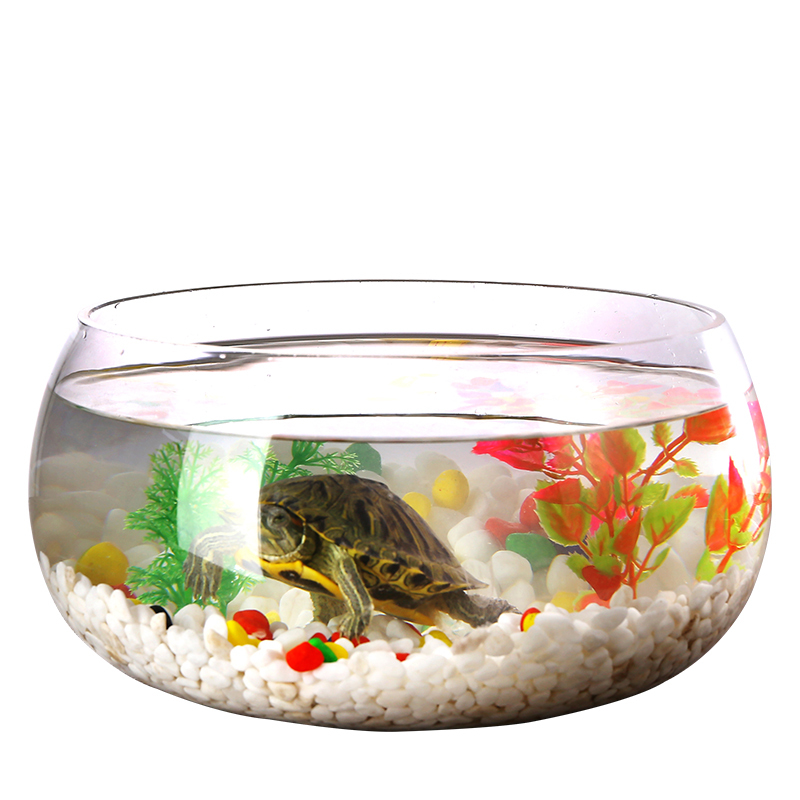 玻璃鱼缸圆形办公桌家用小鱼缸透明金鱼缸小型迷你龟缸桌面乌龟缸