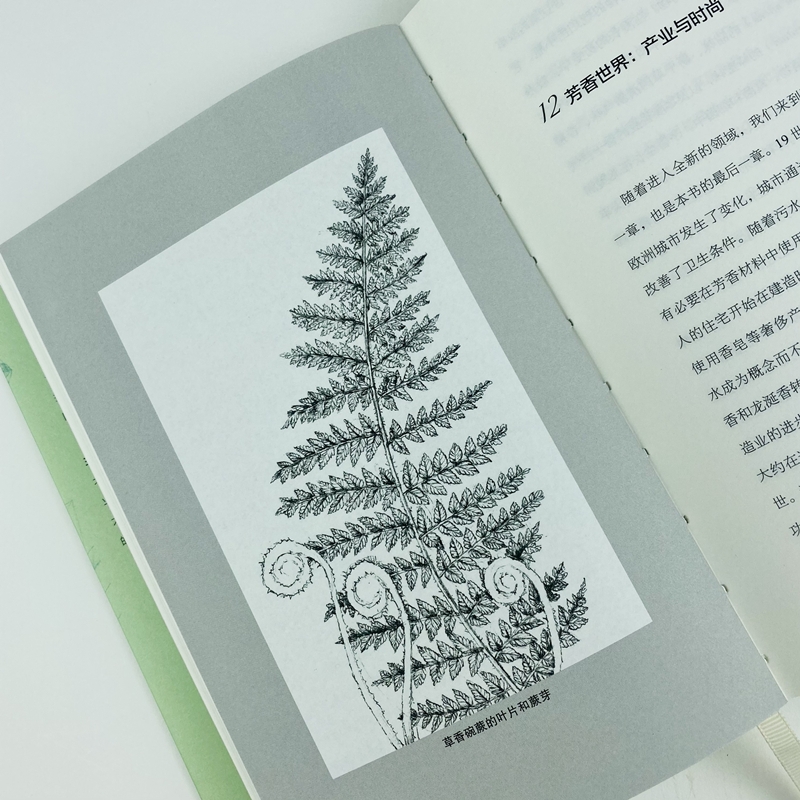 [正版]芳香世界 香味的博物志 (美)埃莉斯·弗农·珀尔斯汀 生活休闲 生活 社会科学文献出版社高清大图