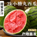 【熊猫鸟】山东小糖丸2K西瓜 1.5-2斤 1个装