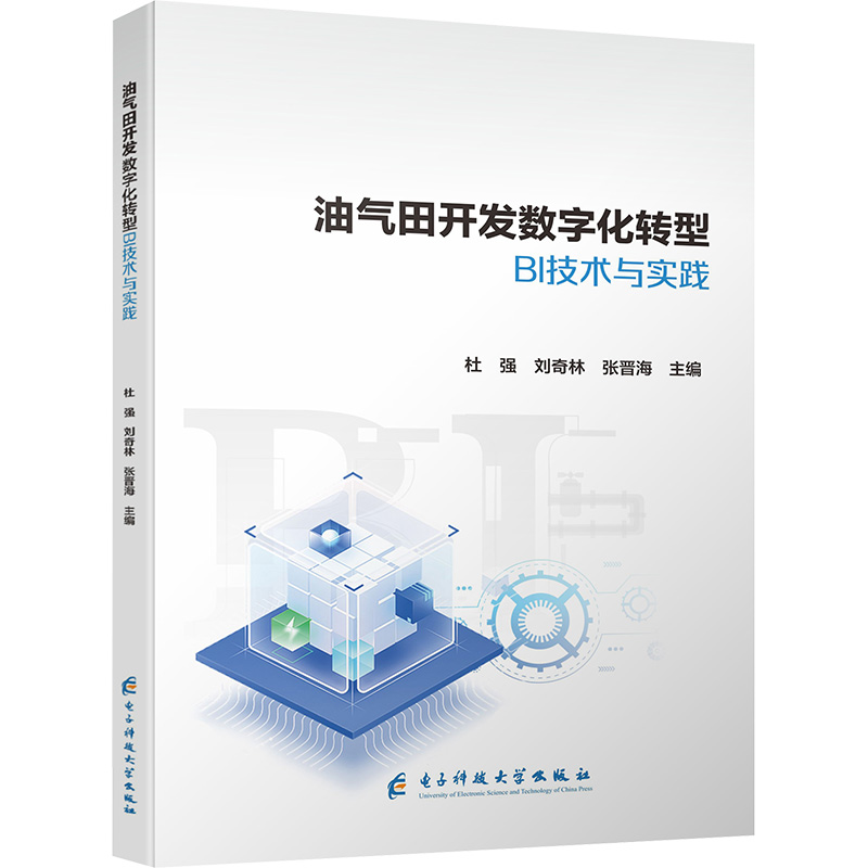 [M]油气田开发数字化转型BI技术与实践-9787577008899高清大图