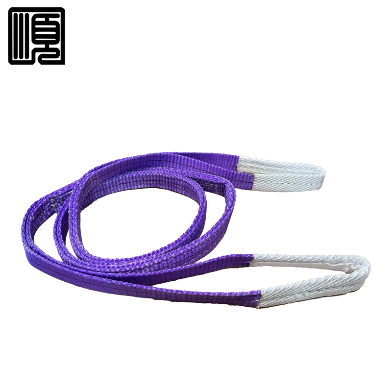 顺心捷 扁平吊装带 1T2M 个