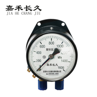 嘉禾长久 双针表 YZS-102 24V带灯 台