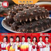 筱岛海参 大连即食系列海参 深海捕捞底播野生辽刺参 9A每斤8—10头礼盒装