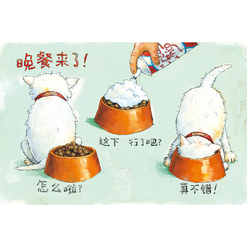 正版新书]好孩子弗格斯绘本(美)大卫·香农新华(美)大卫·香农(美)高清大图