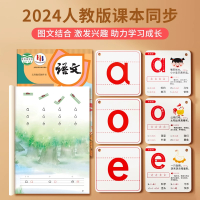 拼音卡片全套同步一年级上册汉语字母拼读训练表幼小衔接学习教具